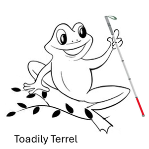 Team Page: Guiding Lights